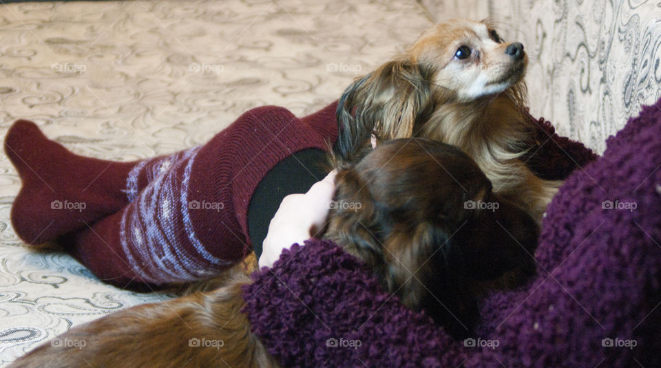 girl sitting on the couch with a dog