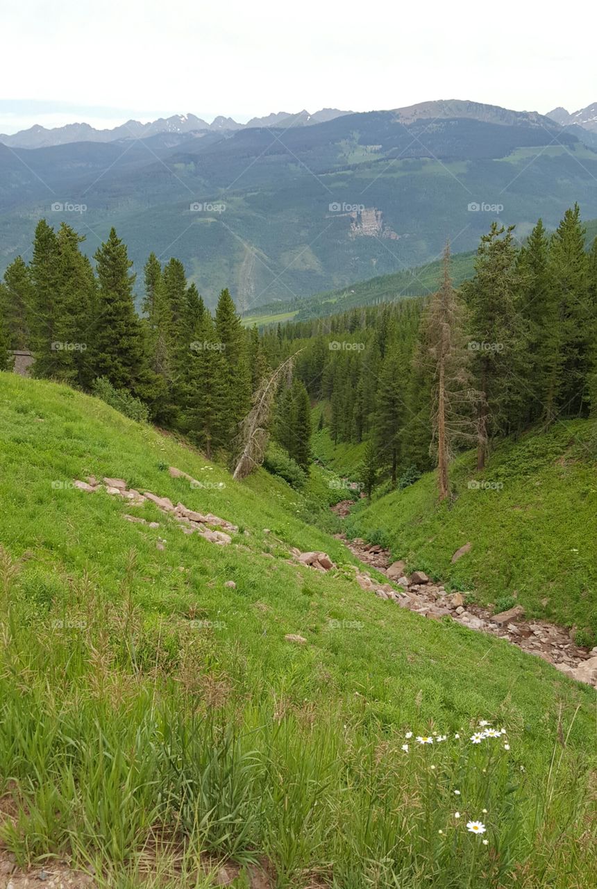 Vail