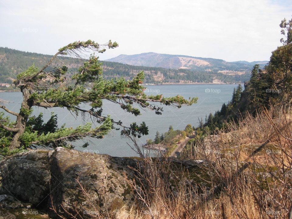 view. Columbia River view