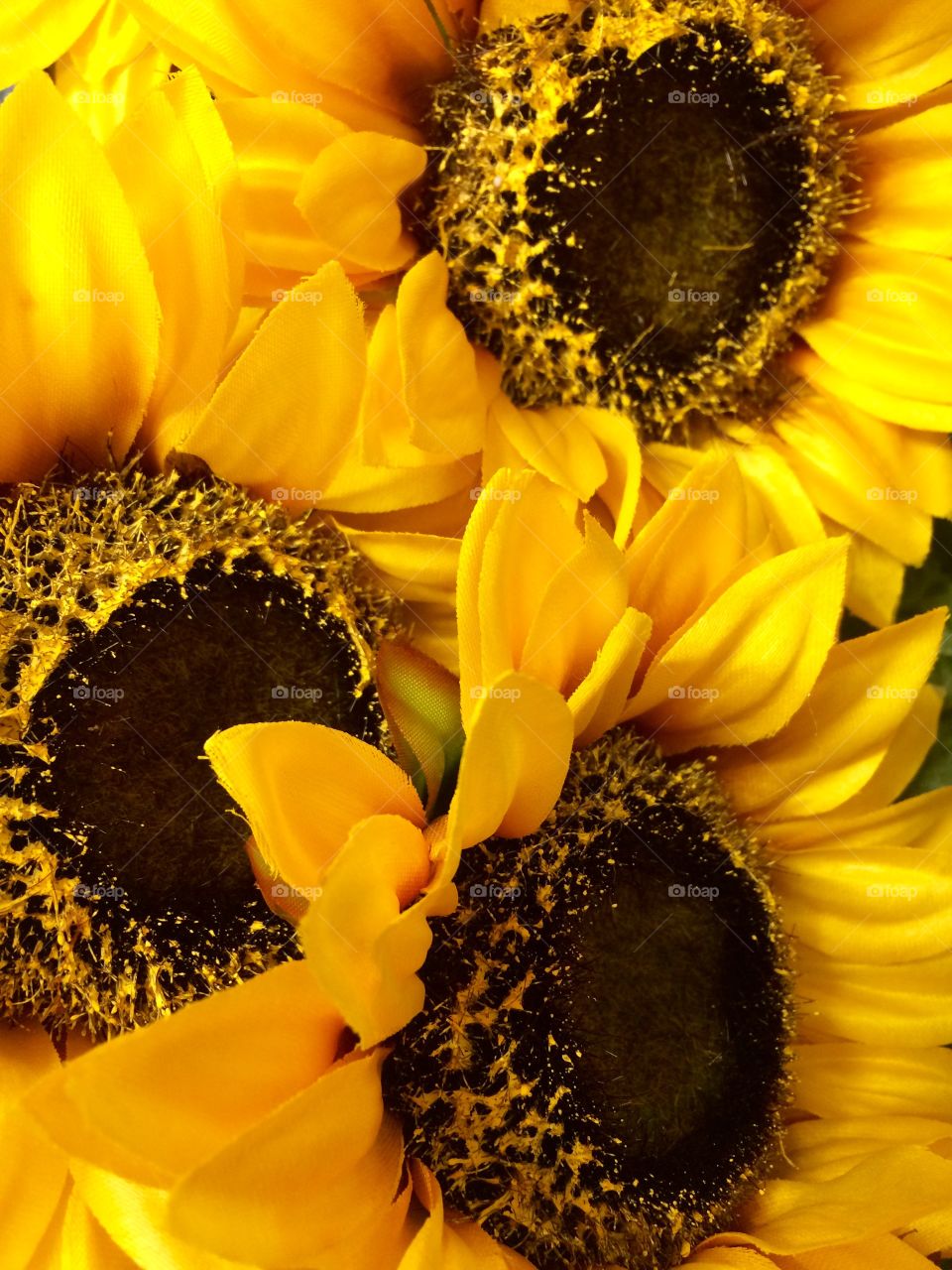 Yellow Sunflowers 