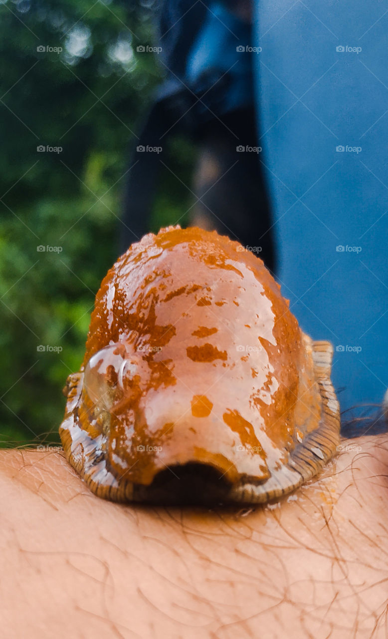 Friendly slug