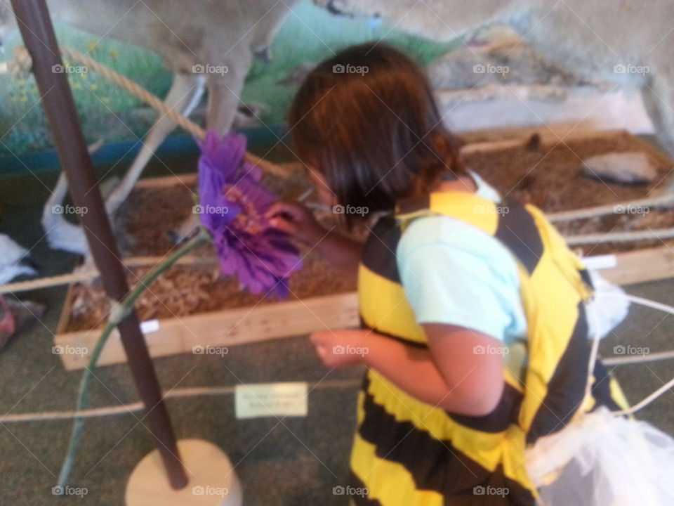 Being a bee. Learning how bees collect pollen    