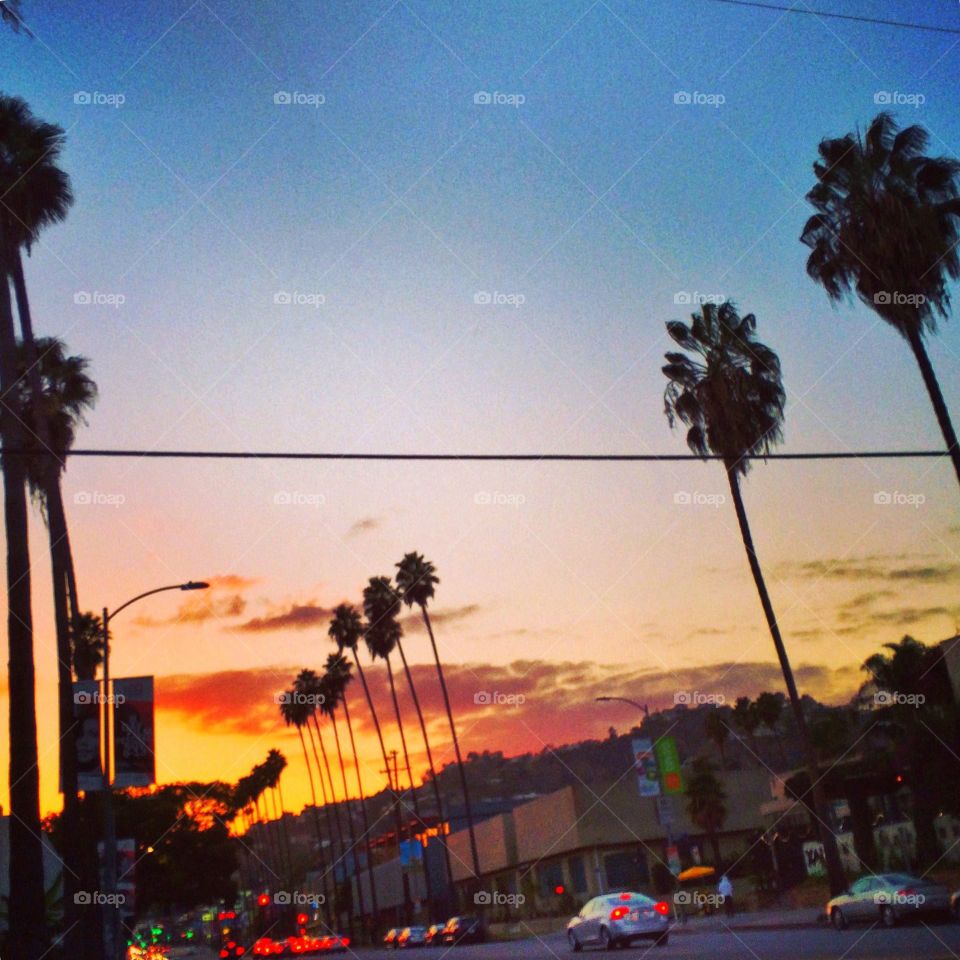 Sunset Blvd 