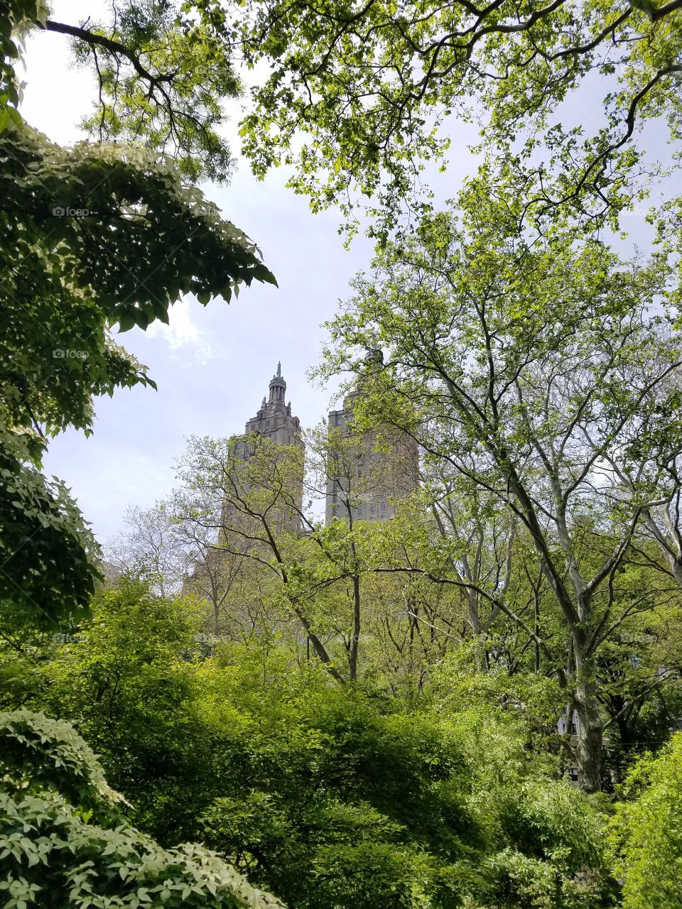 Central Park 🏞️