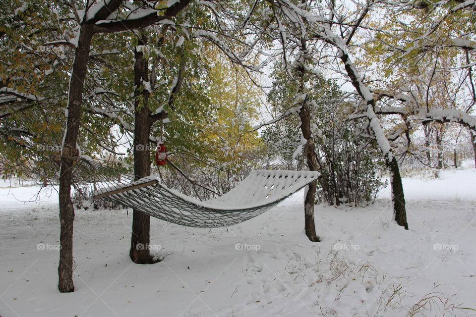 Hammock in the fall with snow.