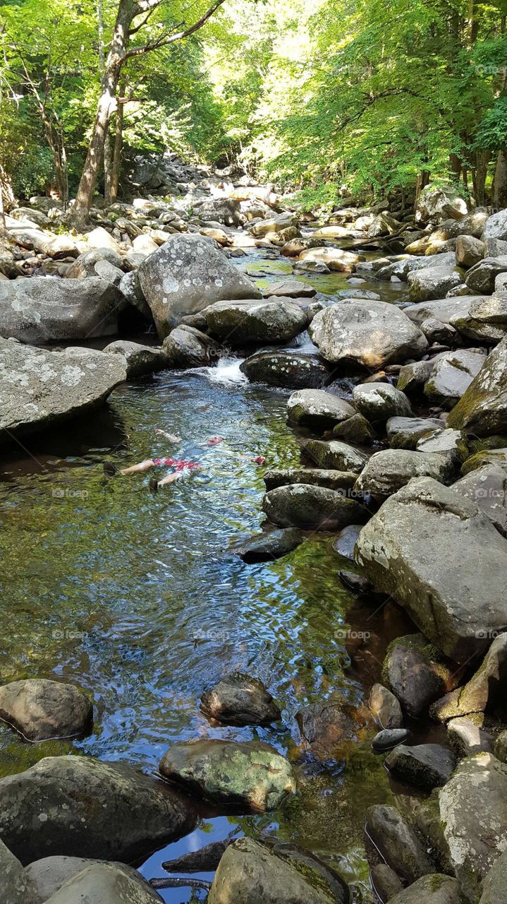 That's me, relaxing in the cool waters of this babbling brook deep in the heart of the Smokey Mountains!