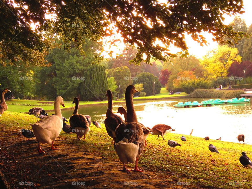 in the park