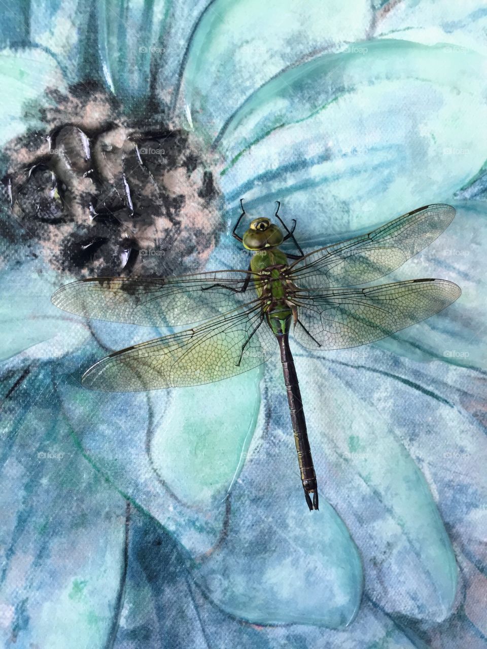 Fake flower, live dragonfly