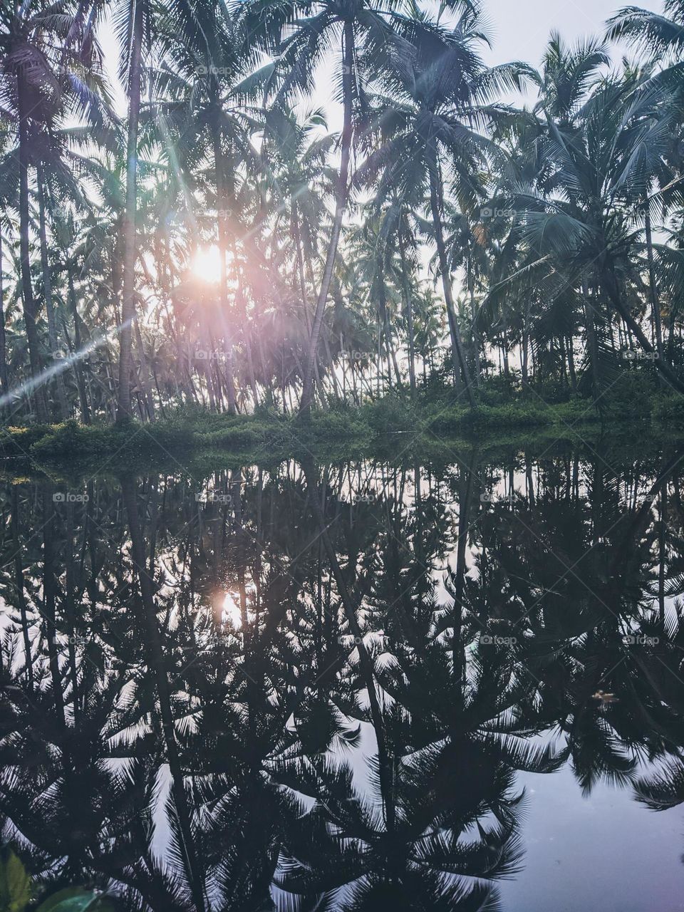 God’s own country, kerala vibes