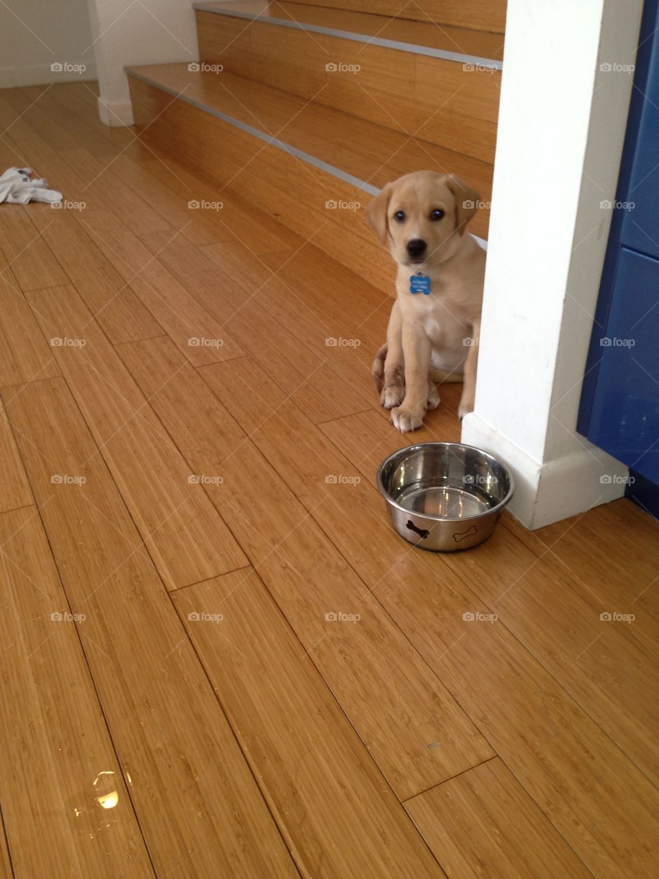 Floor, Family, Indoors, Hardwood, Wood