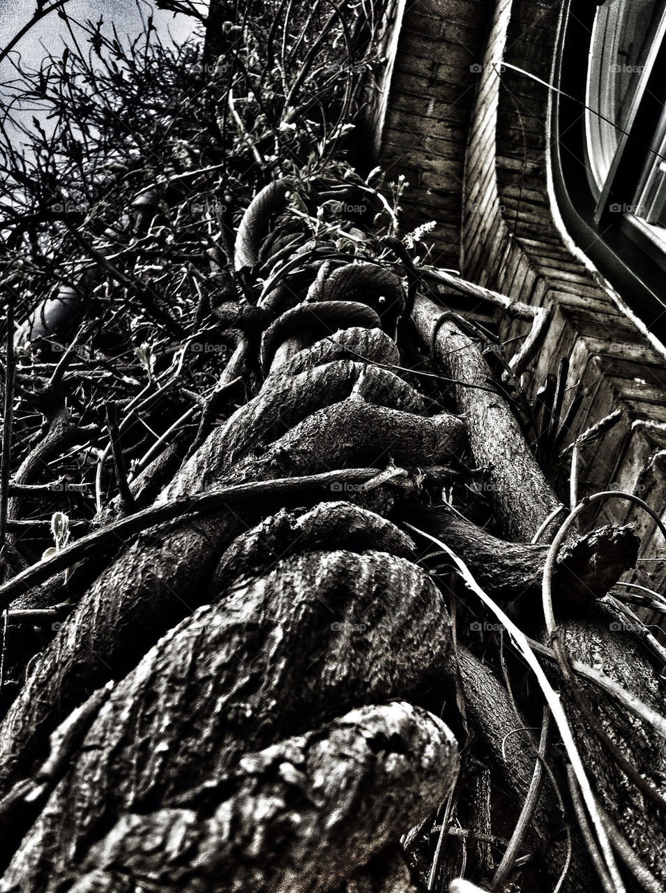 sweden tree plant brick by chrille_b