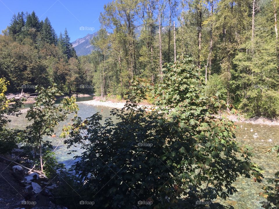 Tree, Landscape, Water, Nature, No Person