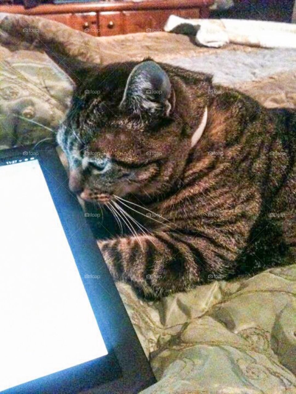 Ms sassy . Thinks she can be technical , 