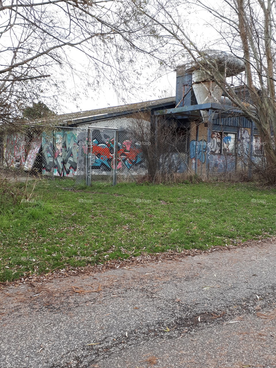 industri - gammelt - graffiti - græsplæne