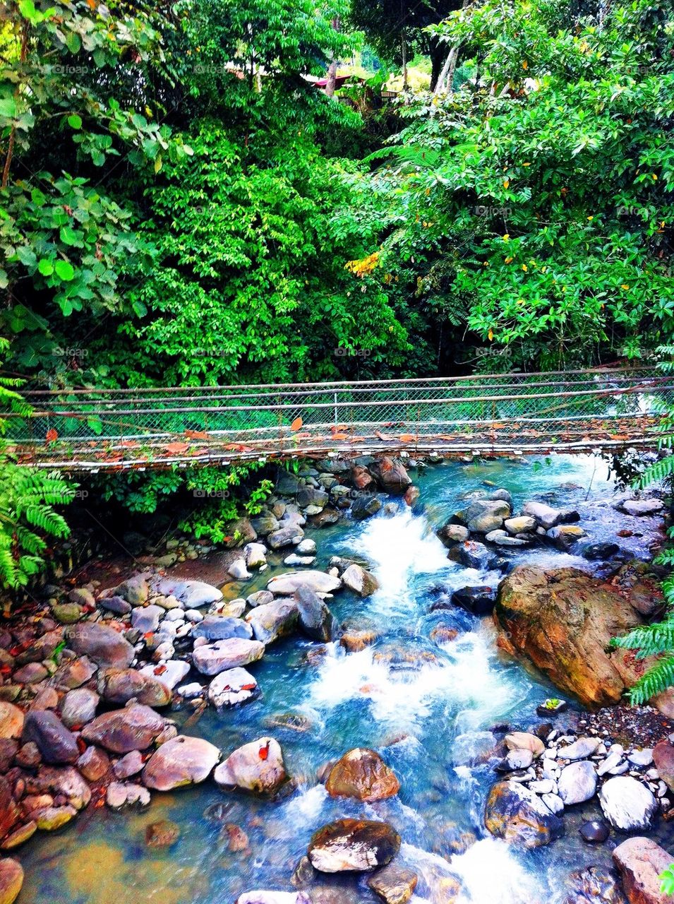 River and hanging bridge