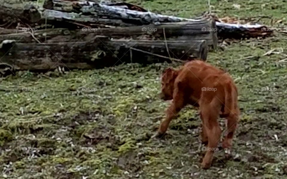 Driving the back Roads, Enjoying Nature