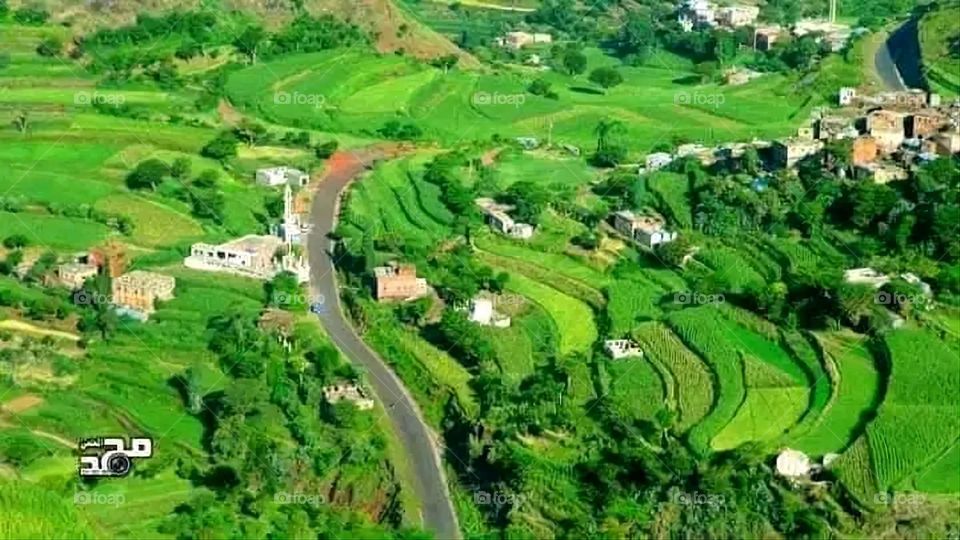 A stunning view of green mountains covered in fog in Yemen