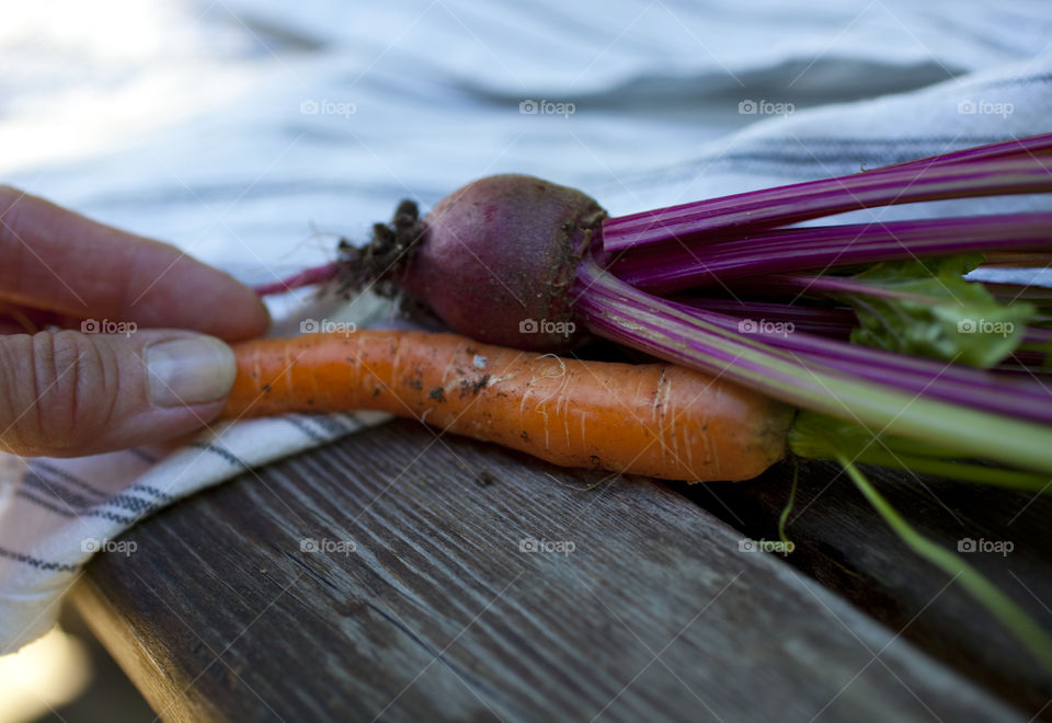 Beetroot and carrot from the garden