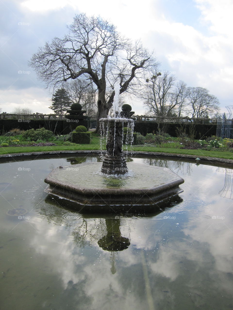 Tree, Water, Park, Fountain, No Person