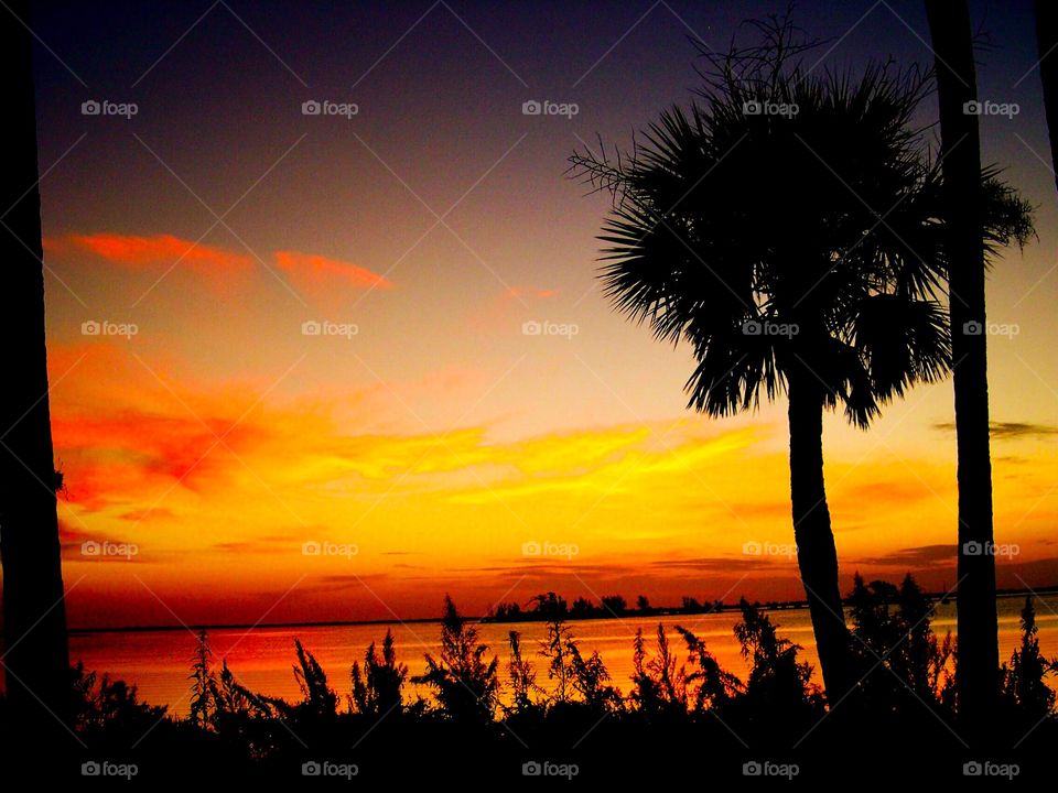 Florida sunset on the river. 