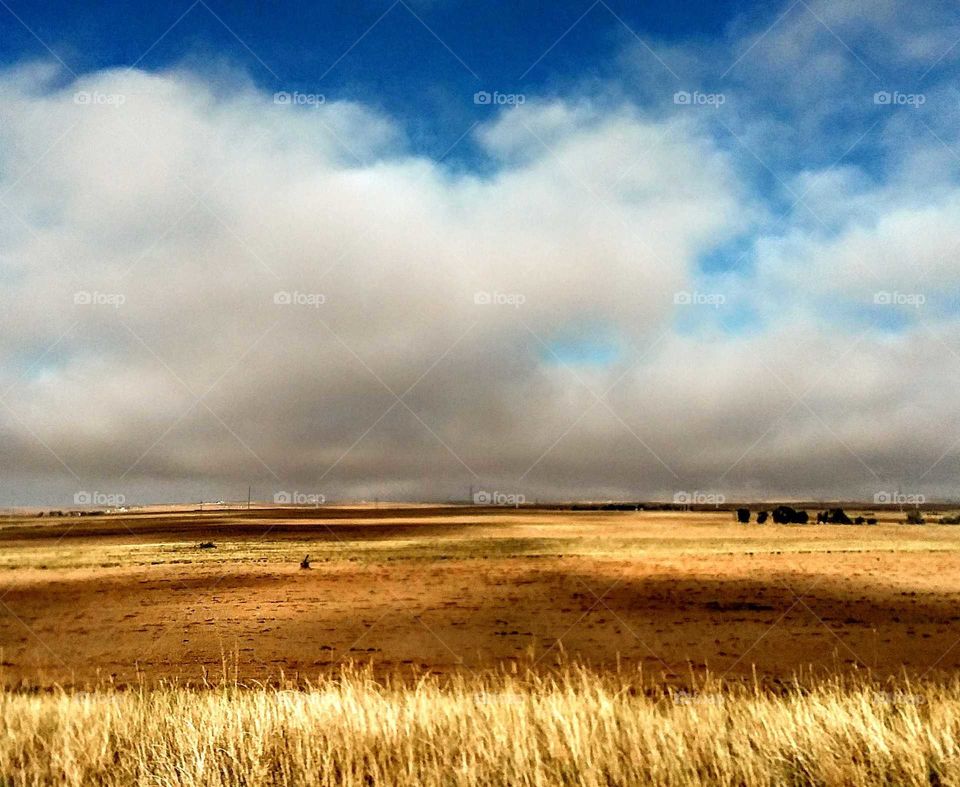 Colorado farm land....