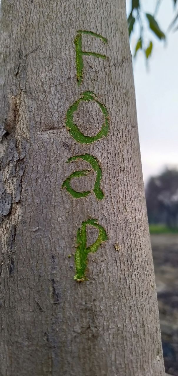 Foap lover creativity which make you money.