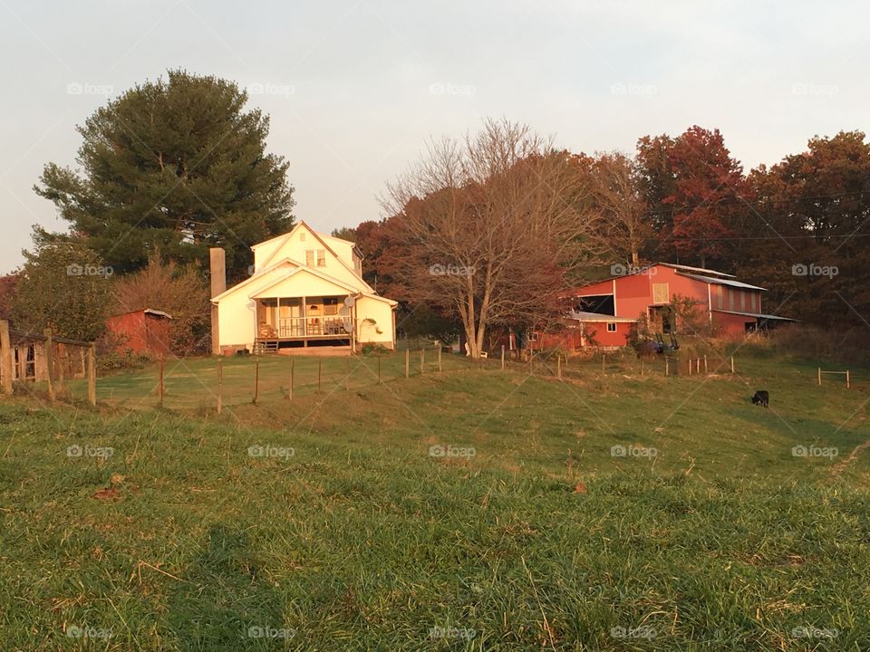 My Mountain Autumn Home