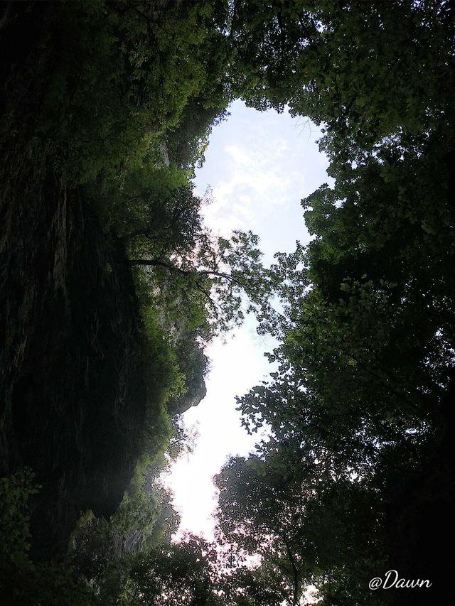 Looking Up