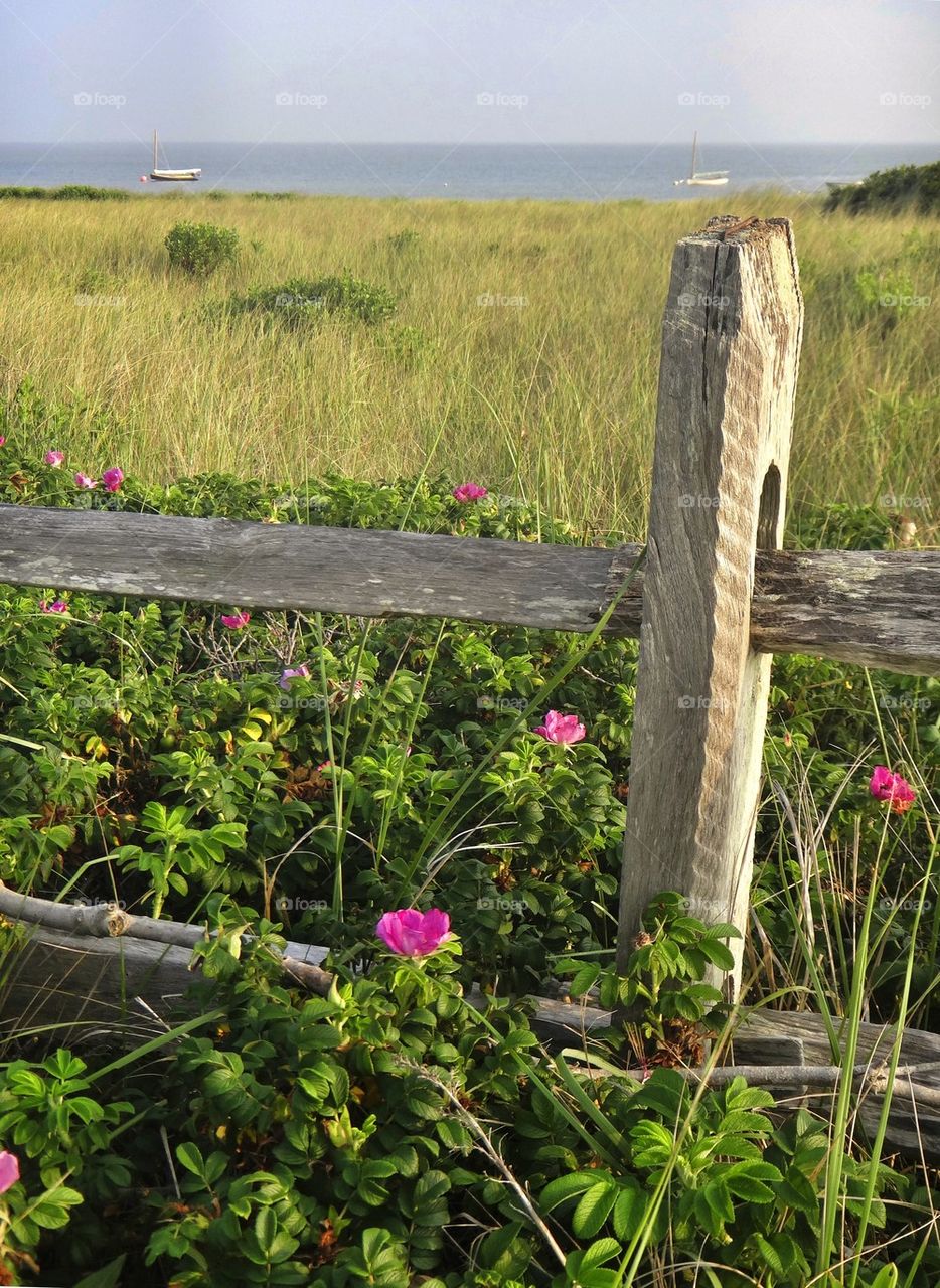 Beach Fence