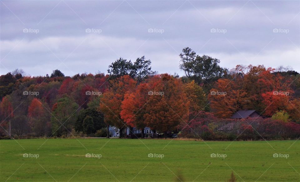 the inevitable change of season goes out in a blaze of color.