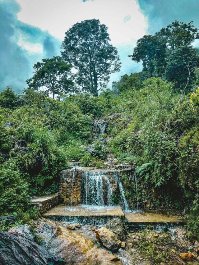 NATURE