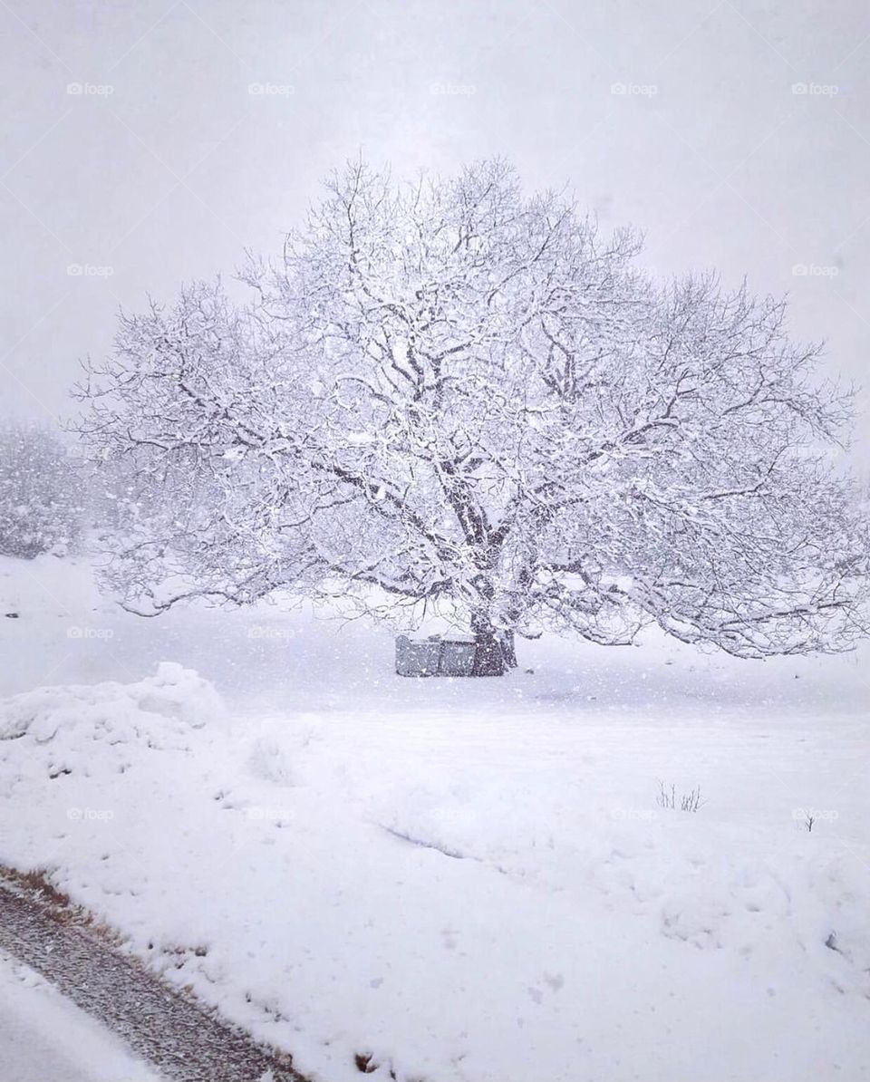 The word changes when it snows ❄️