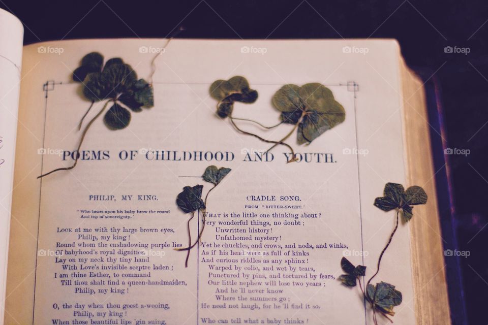 Antique Book: the Memorial Edition of "The Family Library of Poetry and Song," (circa 1880) - opened to title page of "Poems of Childhood and Youth" section, with pressed four-leaf clovers 