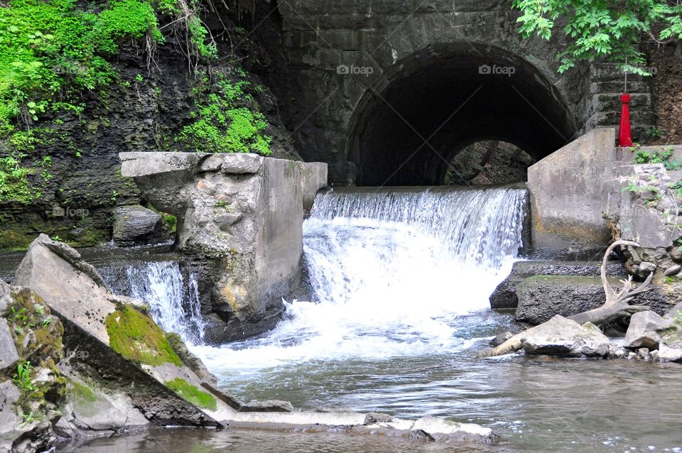 Saratoga Spa State Park. Geyser Creek hidden inside the massive Saratoga Spa State Park. 

ZAZZLE.com/FLEETPHOTO 