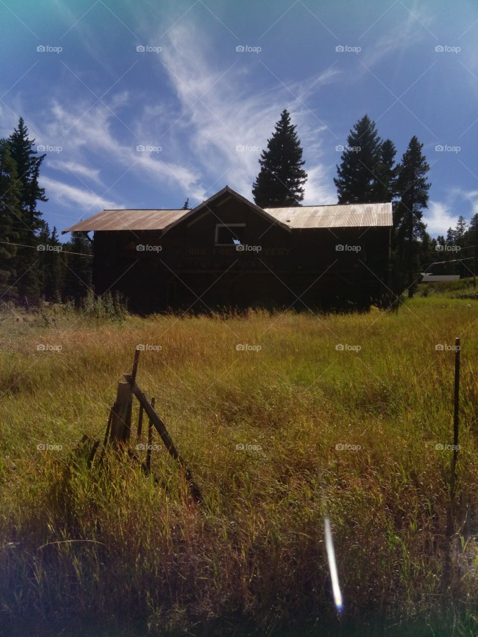 Brook Forest Livery Fall