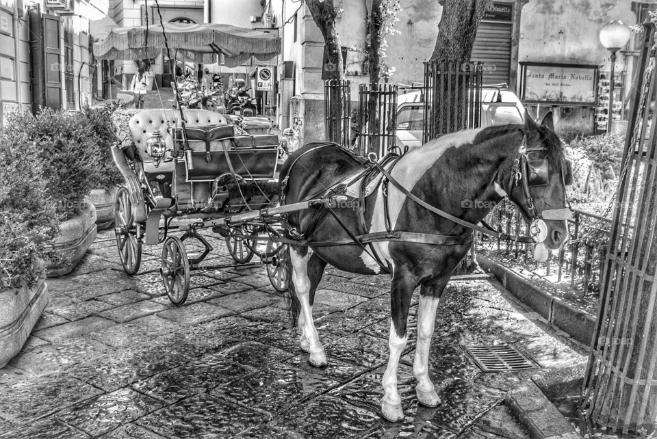 Horse and Carriage, Sorrento