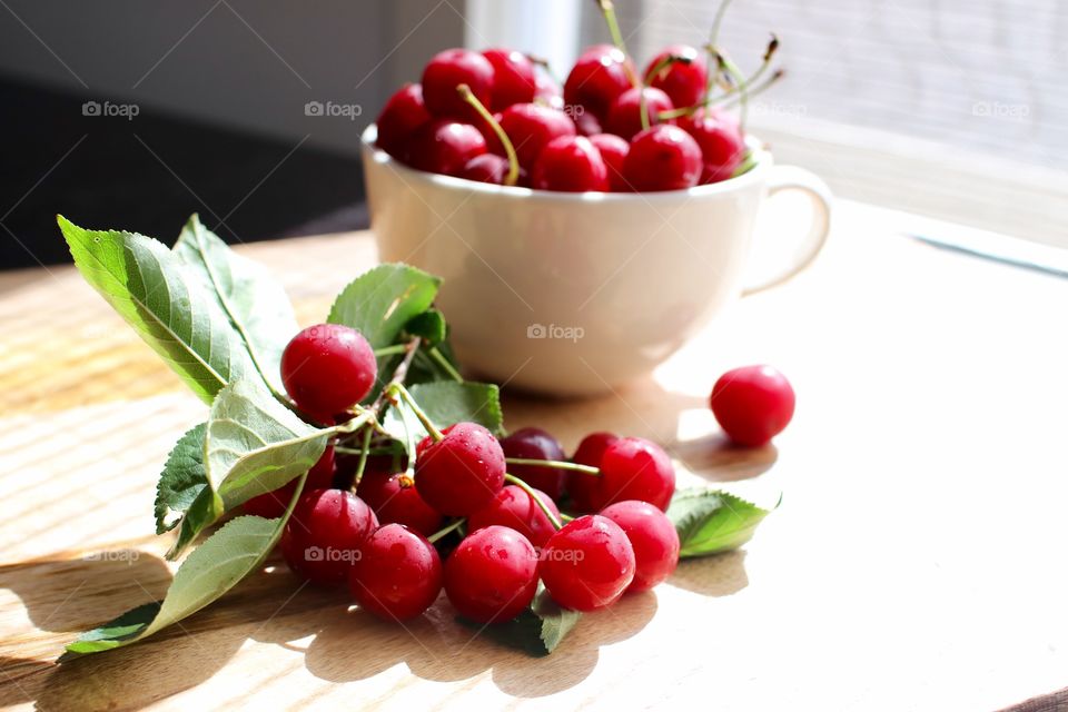 Close-up of red berries