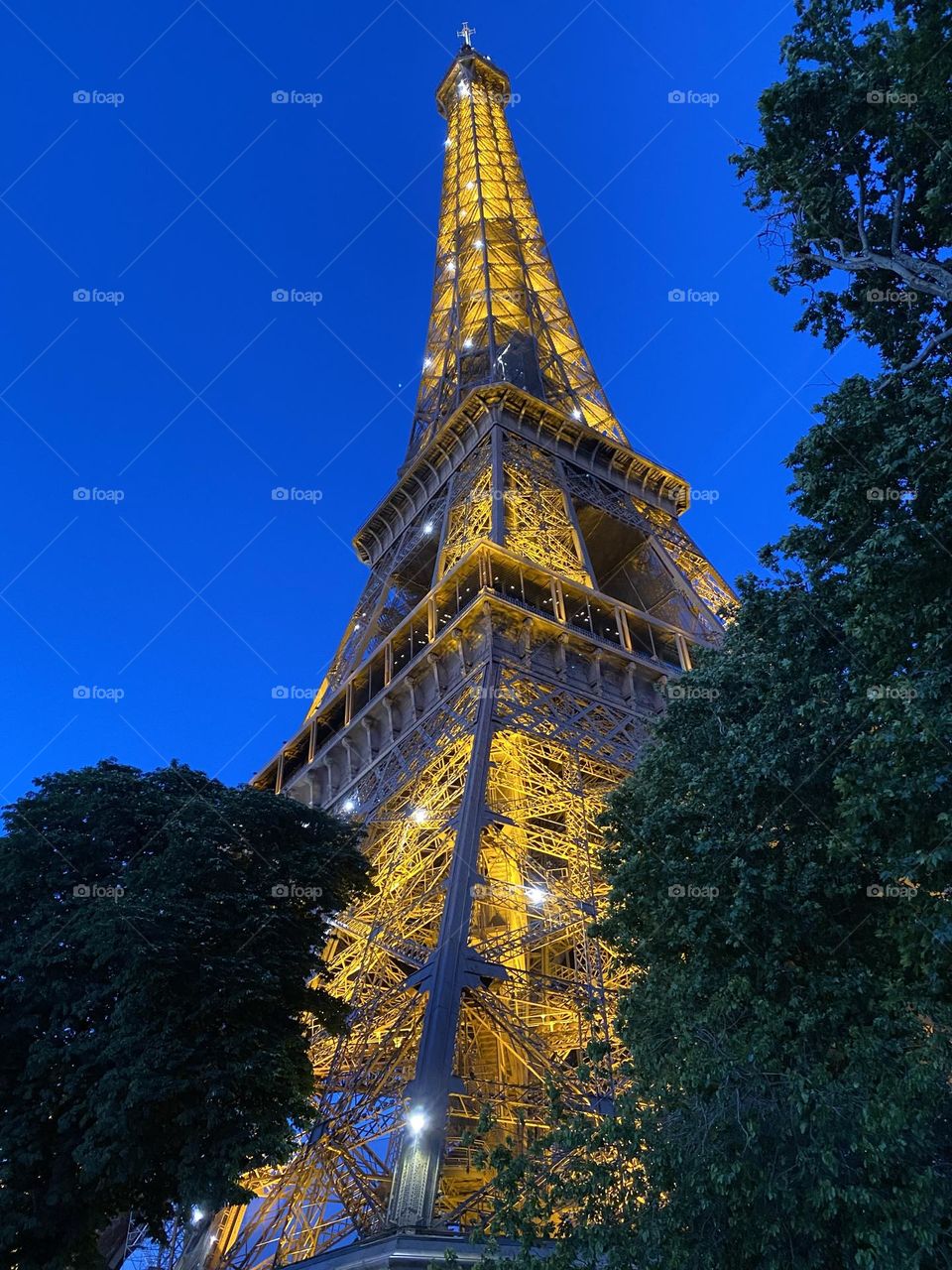 Eiffel Tower at night 