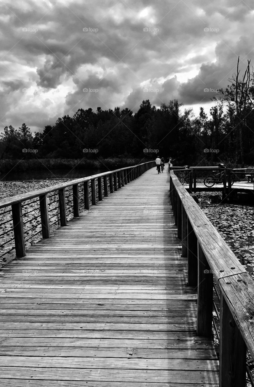 Boardwalk 