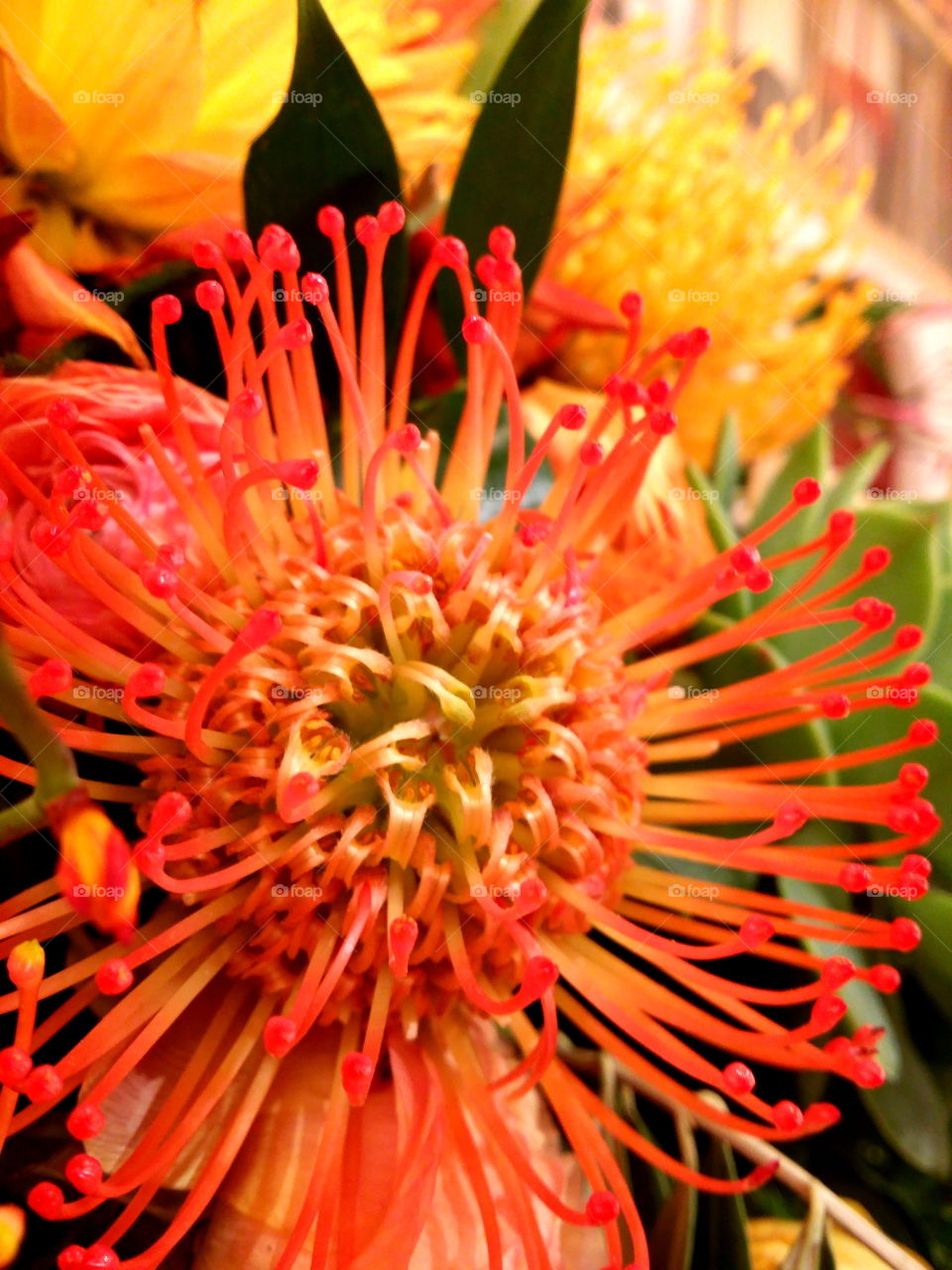 An exotic flower arrangement.