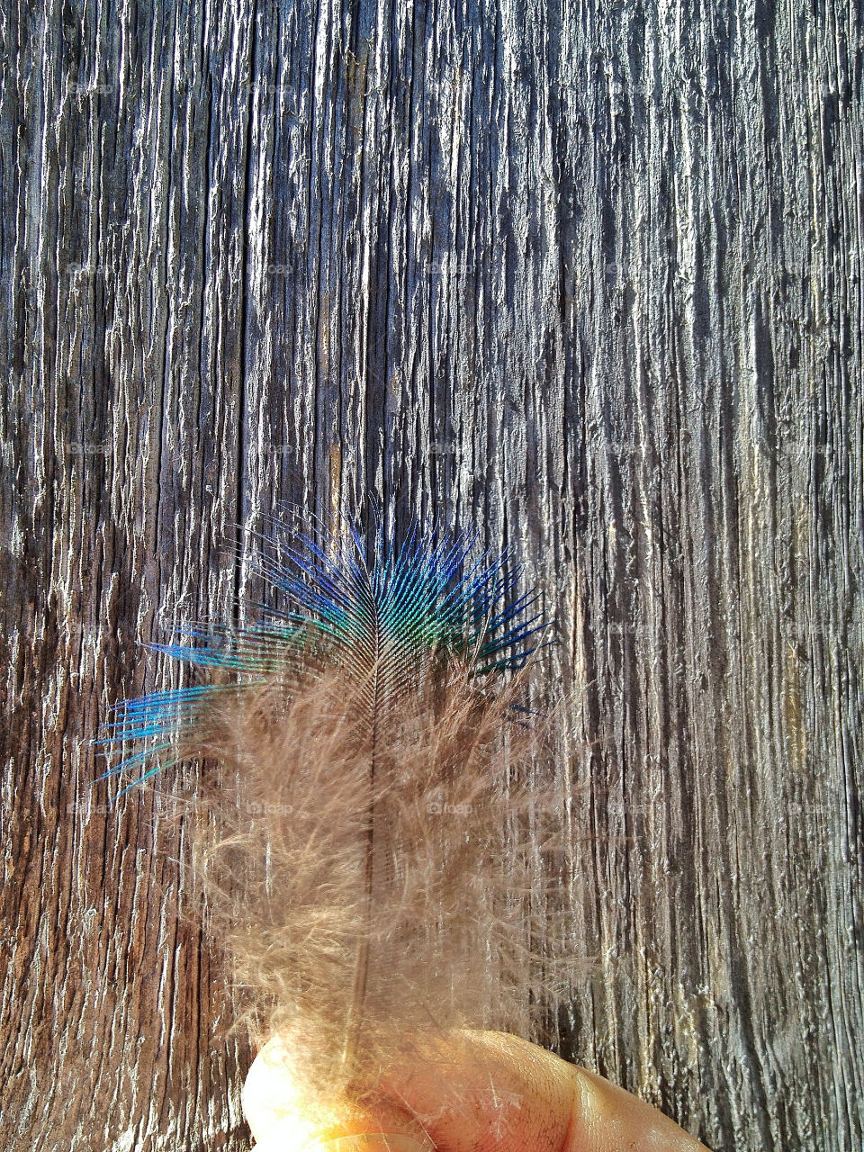 green field nature pretty by somebeach