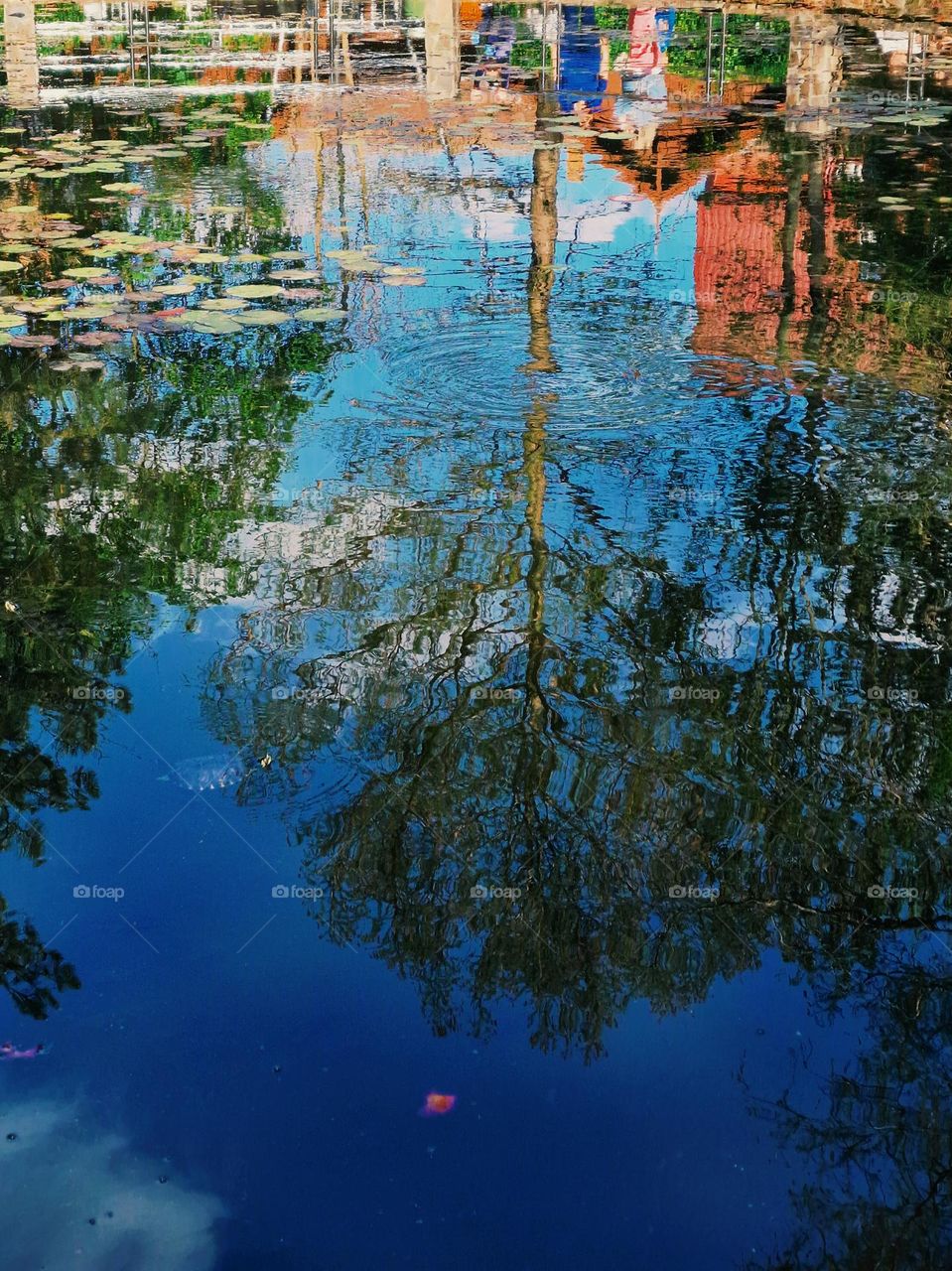 the lake in the felix resort