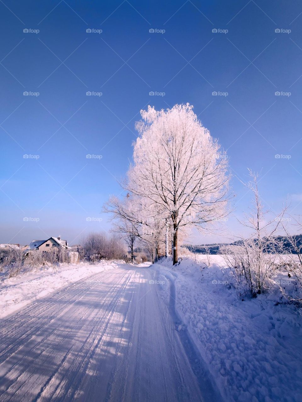 Winter road