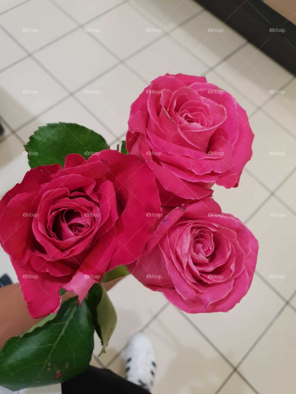 Three roses for you