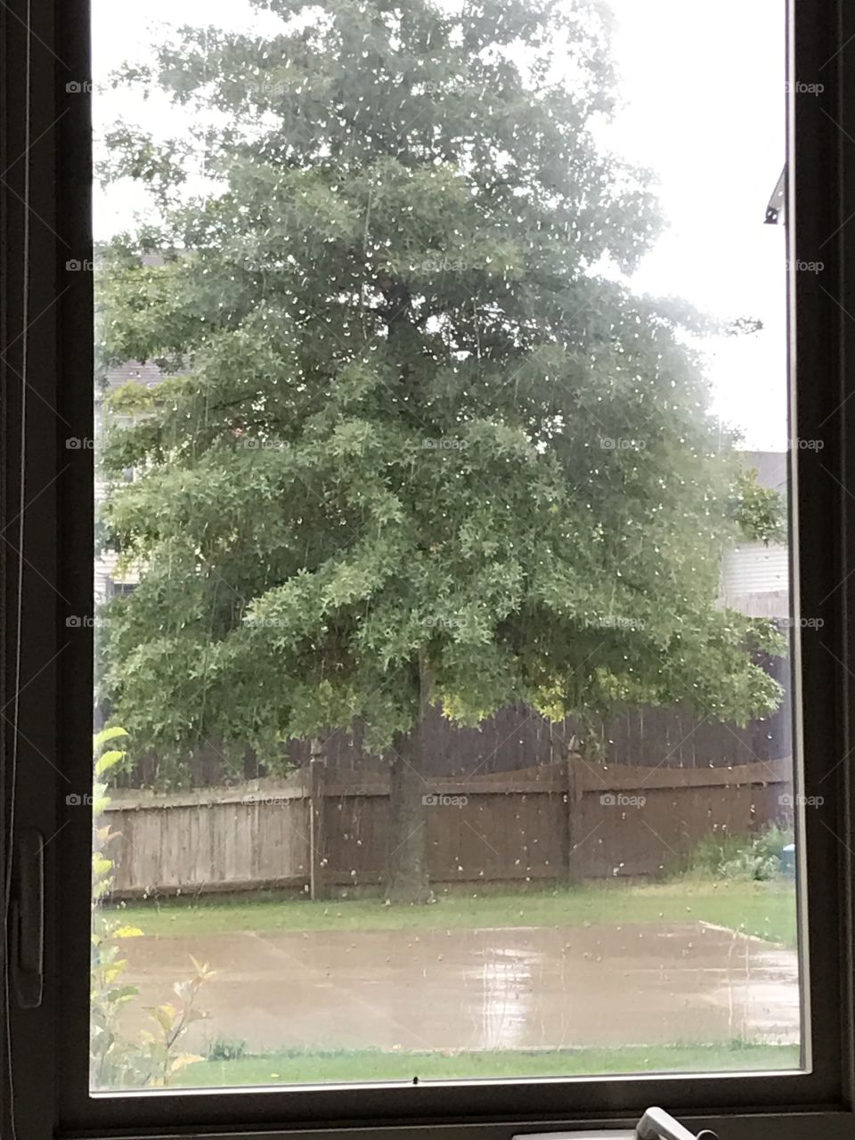 A rainy day is my view through the window.