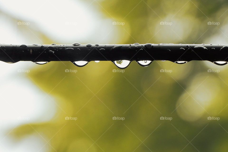 rain drops