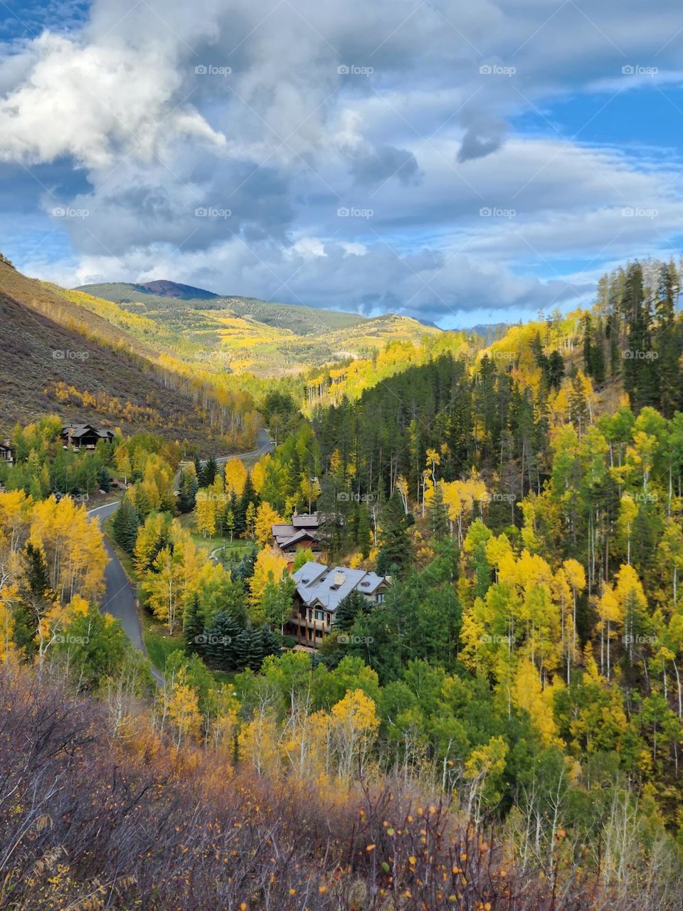 Beautiful Fall Colors in Vail, Colorado