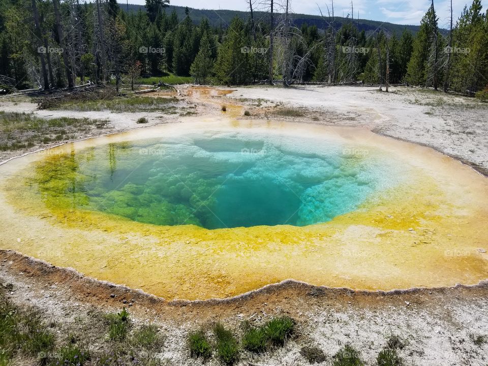 Yellowstone_Morning Glory Pool #6