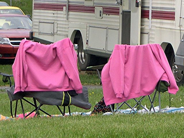 Pink Twins