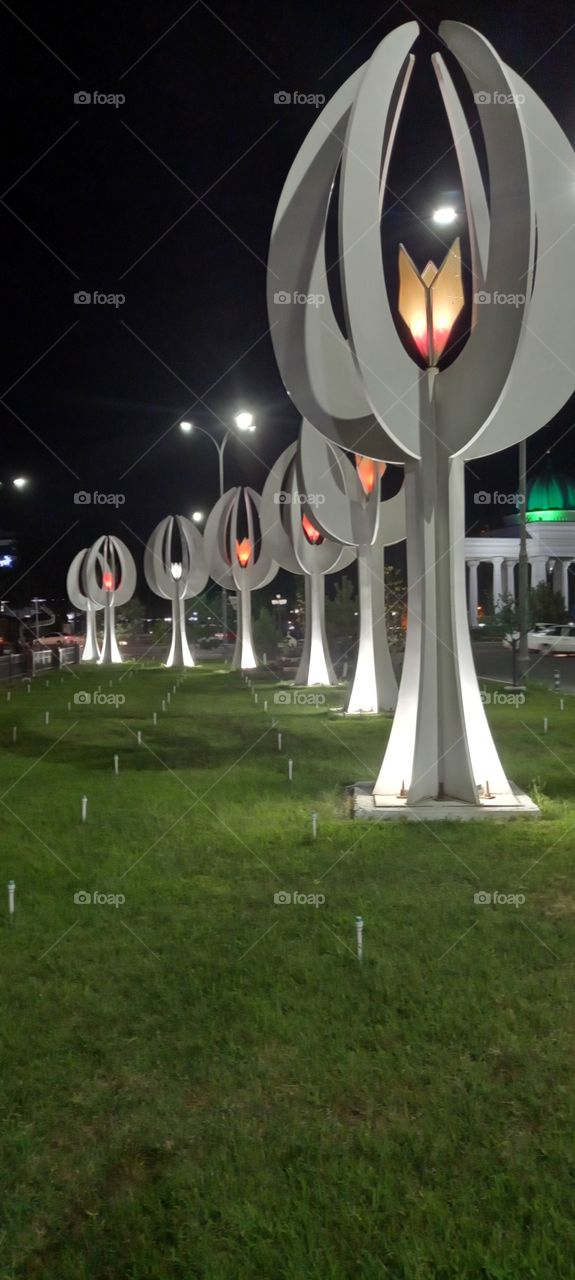 night view of the city